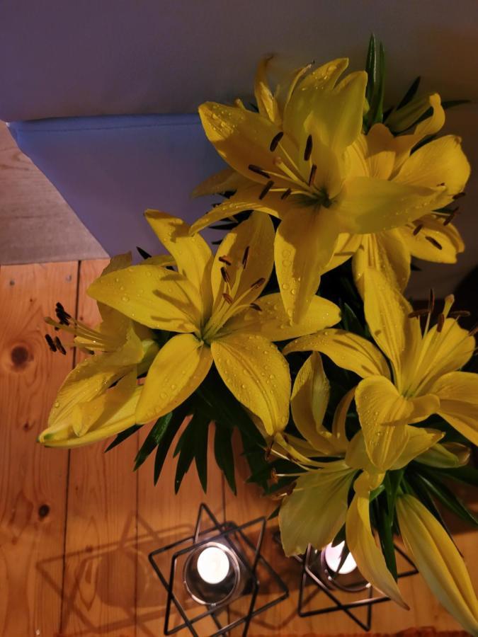 Apartament Lilla Jelenia Góra Εξωτερικό φωτογραφία