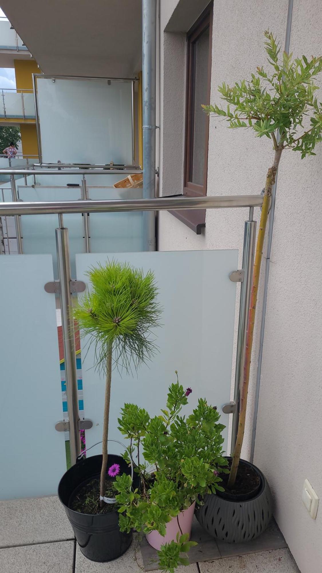 Apartament Lilla Jelenia Góra Εξωτερικό φωτογραφία